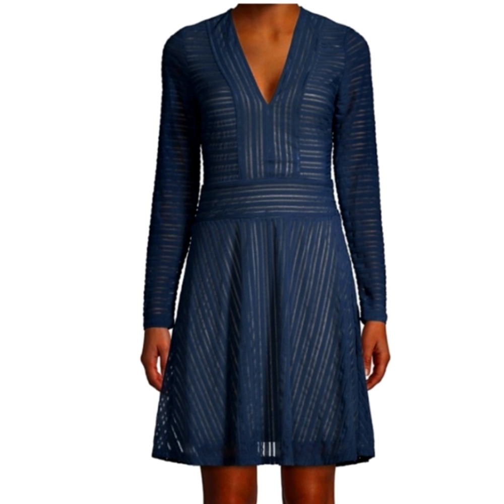 BCBG Max Azria Women's Knit Sheer Striped Long Sleeve Fit & Flare